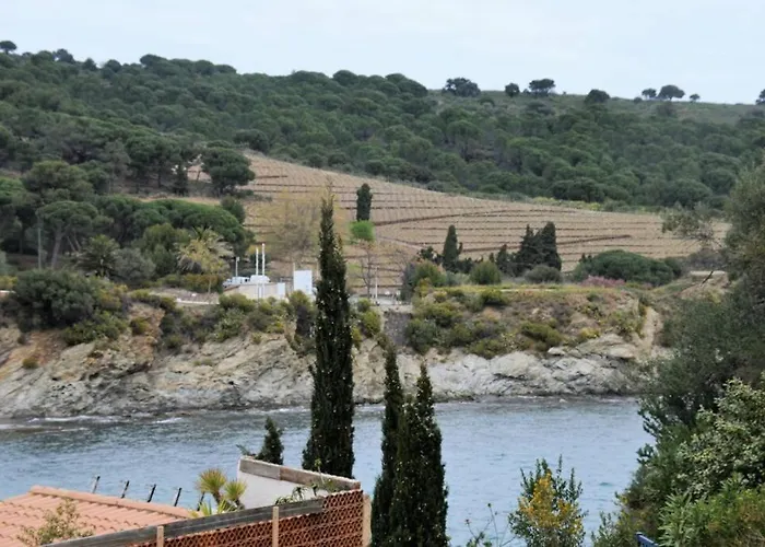T3 Familial Avec Acces Direct A La Plage. Banyuls-sur-Mer